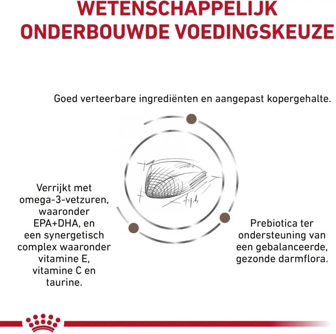 Royal Canin Hepatic Hond 12kg - 13 Stuks