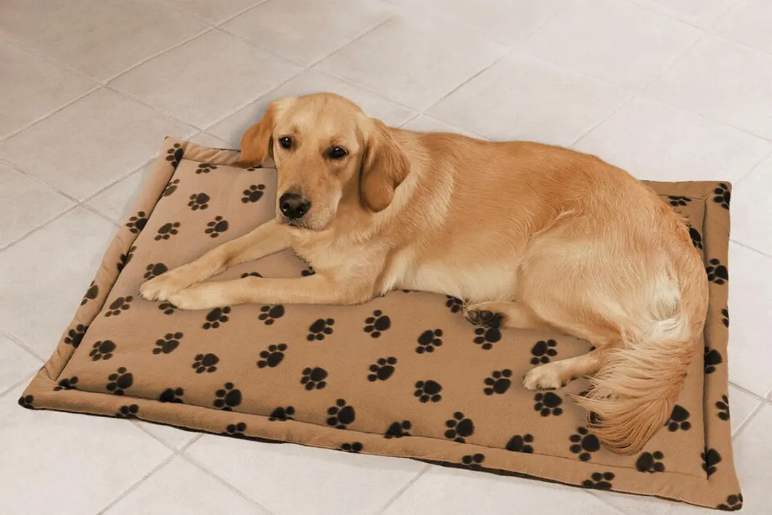 Wenko Multifunctioneel Dierendeken Beige 75x120cm