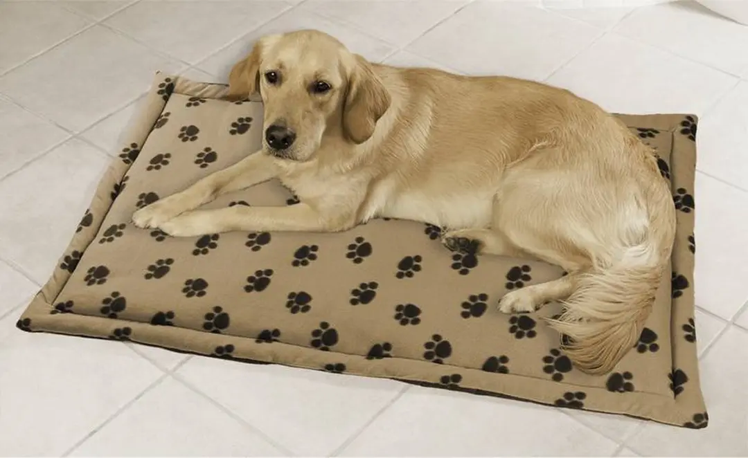 Wenko Multifunctioneel Dierendeken Beige 75x120cm - afbeelding 6 van 6