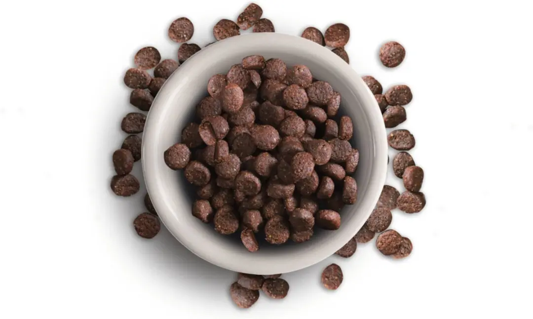 Leonardo Adult Lam 15kg