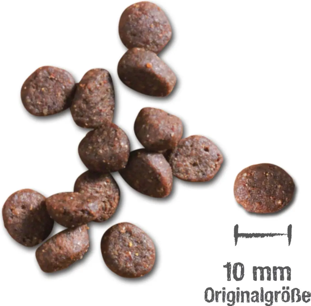 Leonardo Adult Lam 15kg