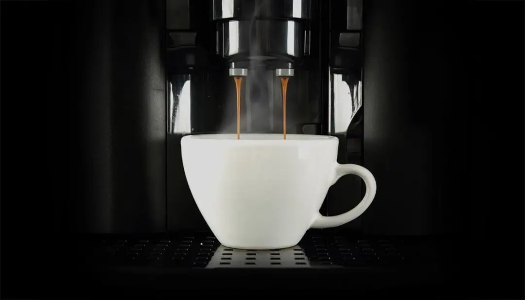 Durgol Swiss Espresso Ontkalker 250ml - 2 Stuks