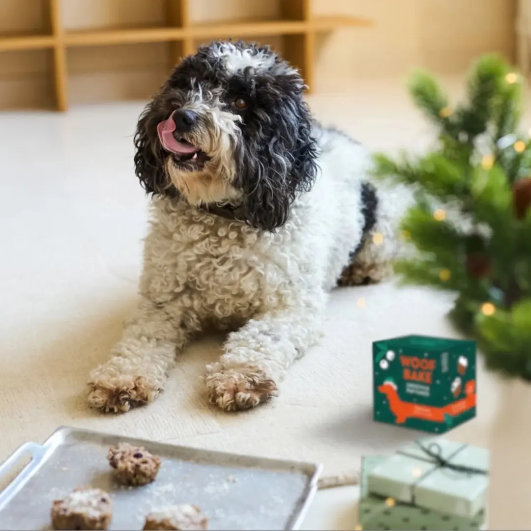 Pineut Woofbake Pupcakes Kerstcadeau Hondenkoekjes - 1 Stuk