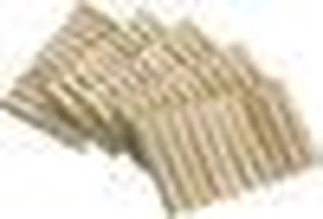 Wenko Wasknijpers Hout Naturel 50 Stuks