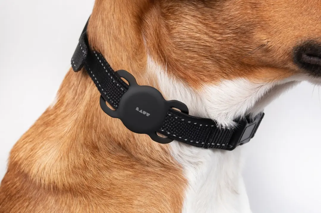 Laut PET TAG AirTag Dierenband