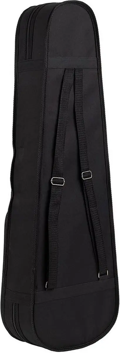 Leonardo EV-40-NT Elektrische Viool - Met accessoires