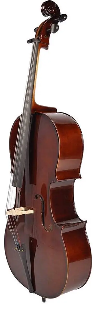 Leonardo LC-2044 Cello Set 4/4 - Massief Ebbenhout - Inclusief Tas & Strijkstok