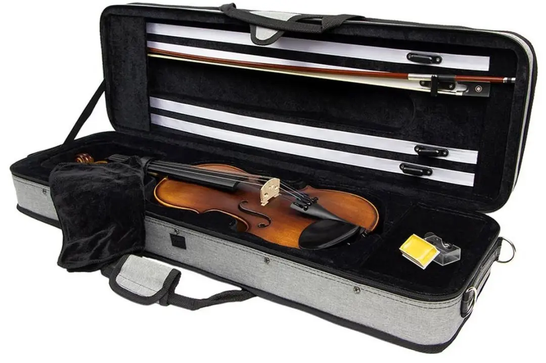 Leonardo LV-1844 Vioolset 4/4 - Gevlamd esdoorn - Matte antieke lak