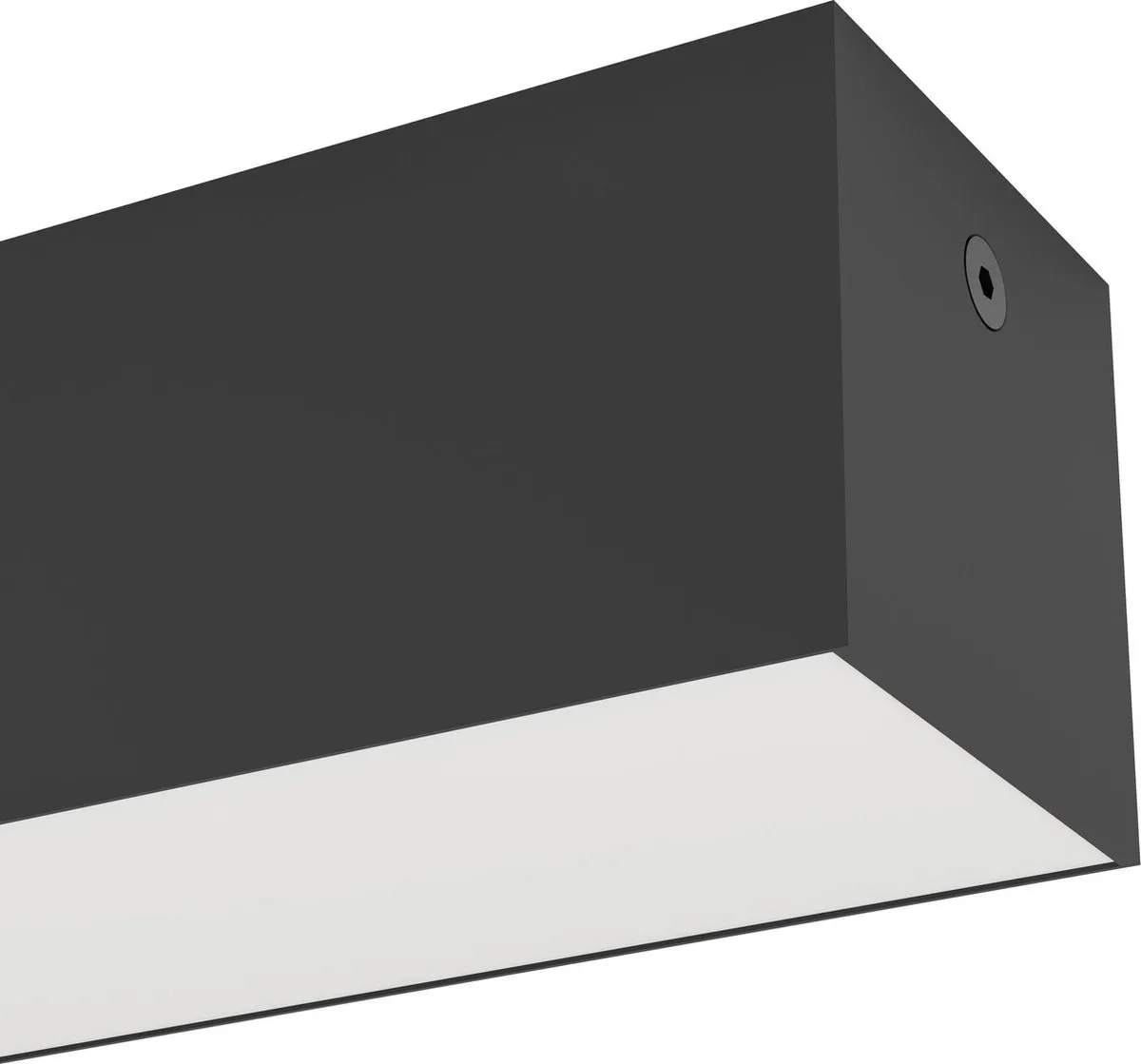 Eglo Salitta Wandlamp Buiten LED 58cm - Zwart