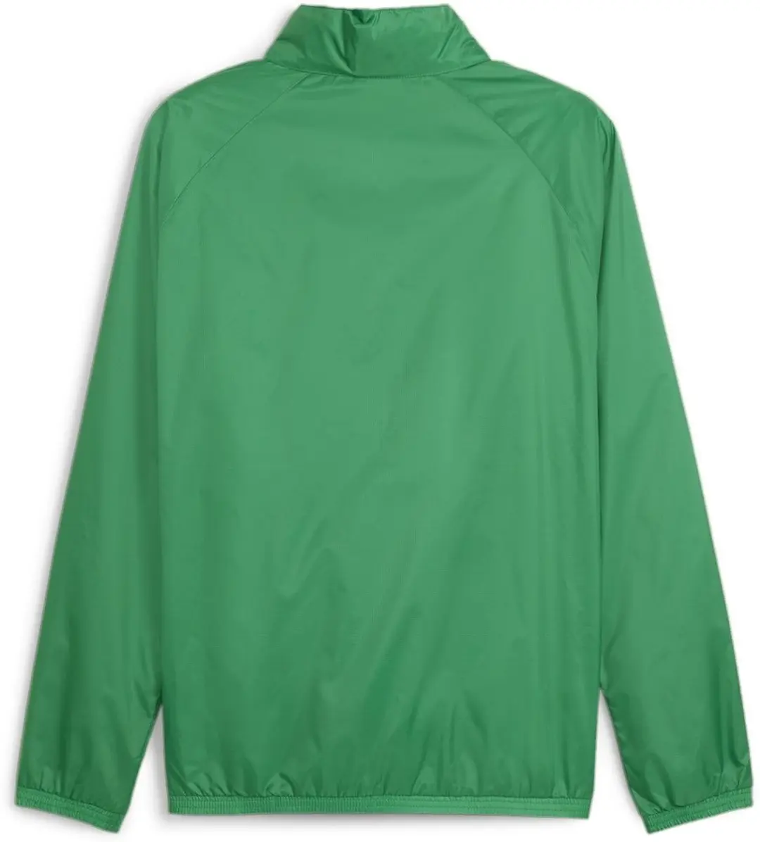 PUMA TeamGoal All Weather Jacket 659038 - Sport Green