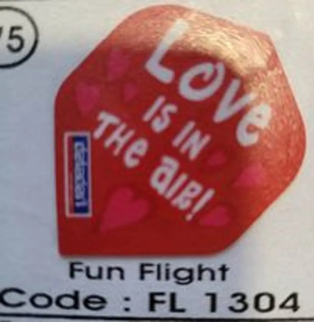 Datadart Dart Flights 1304