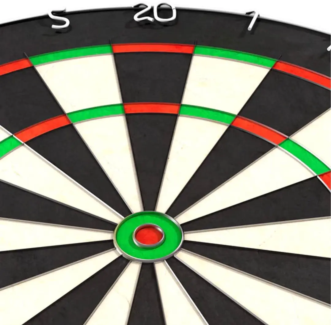 Lena Professional Dartbord LENA.DB.01 - 45cm