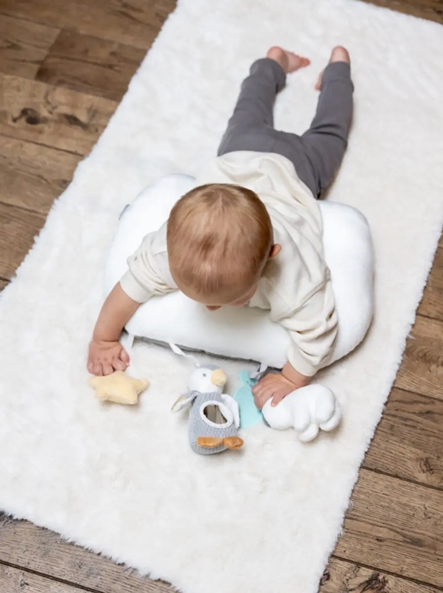 Nûby Little Penguin Buikligtrainer - 0+ maanden