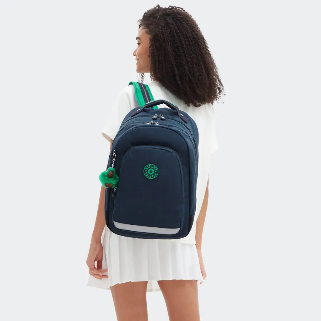 Kipling Class Room disco fish