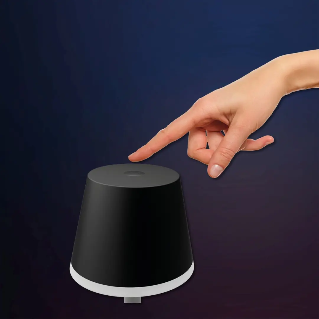 Philips Hue Go 2x Tafellamp - Zwart - RGBW 6.2W