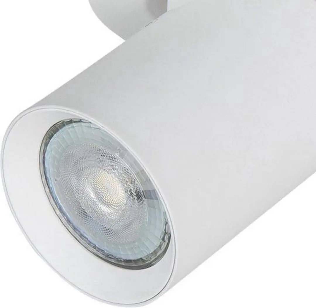 Highlight Oliver 2L Opbouwspot - 25cm Metaal