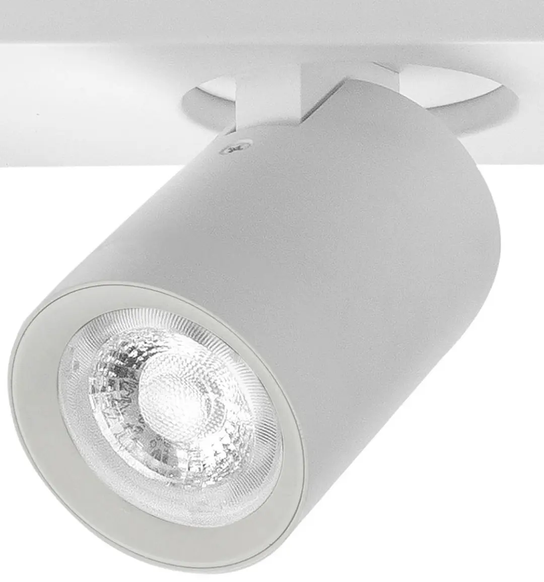 Highlight Oliver 2L Opbouwspot - 25cm Metaal