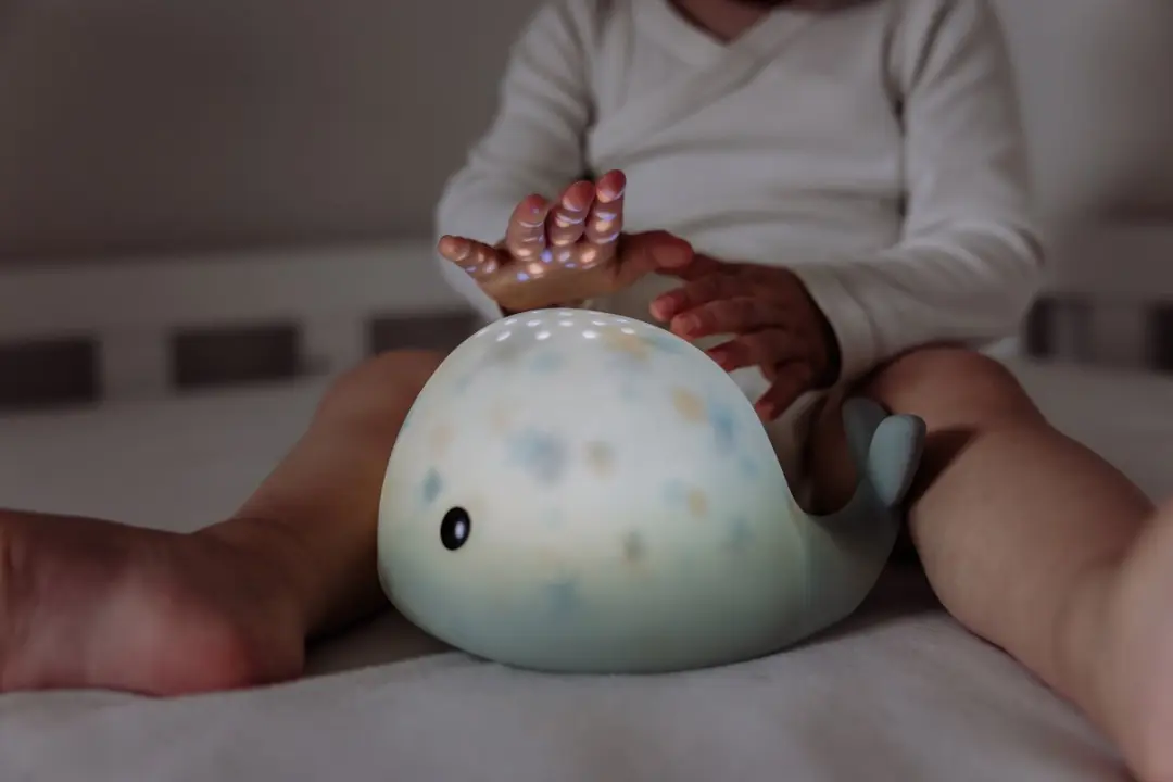Flow Amsterdam Moby Projector - Groen