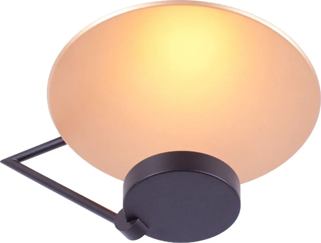Highlight Goldy LED Plafondlamp - 1 Lichtpunt Ø29cm - Goud/Zwart
