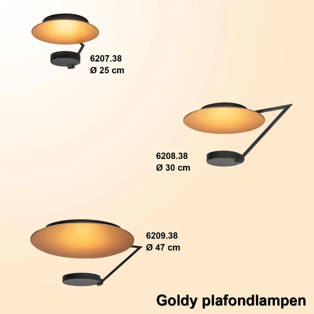 Highlight Goldy LED Plafondlamp - 1 Lichtpunt Ø29cm - Goud/Zwart