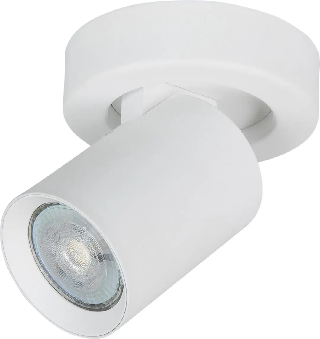 Highlight Oliver Opbouwspot Metaal GU10 - Ø10cm