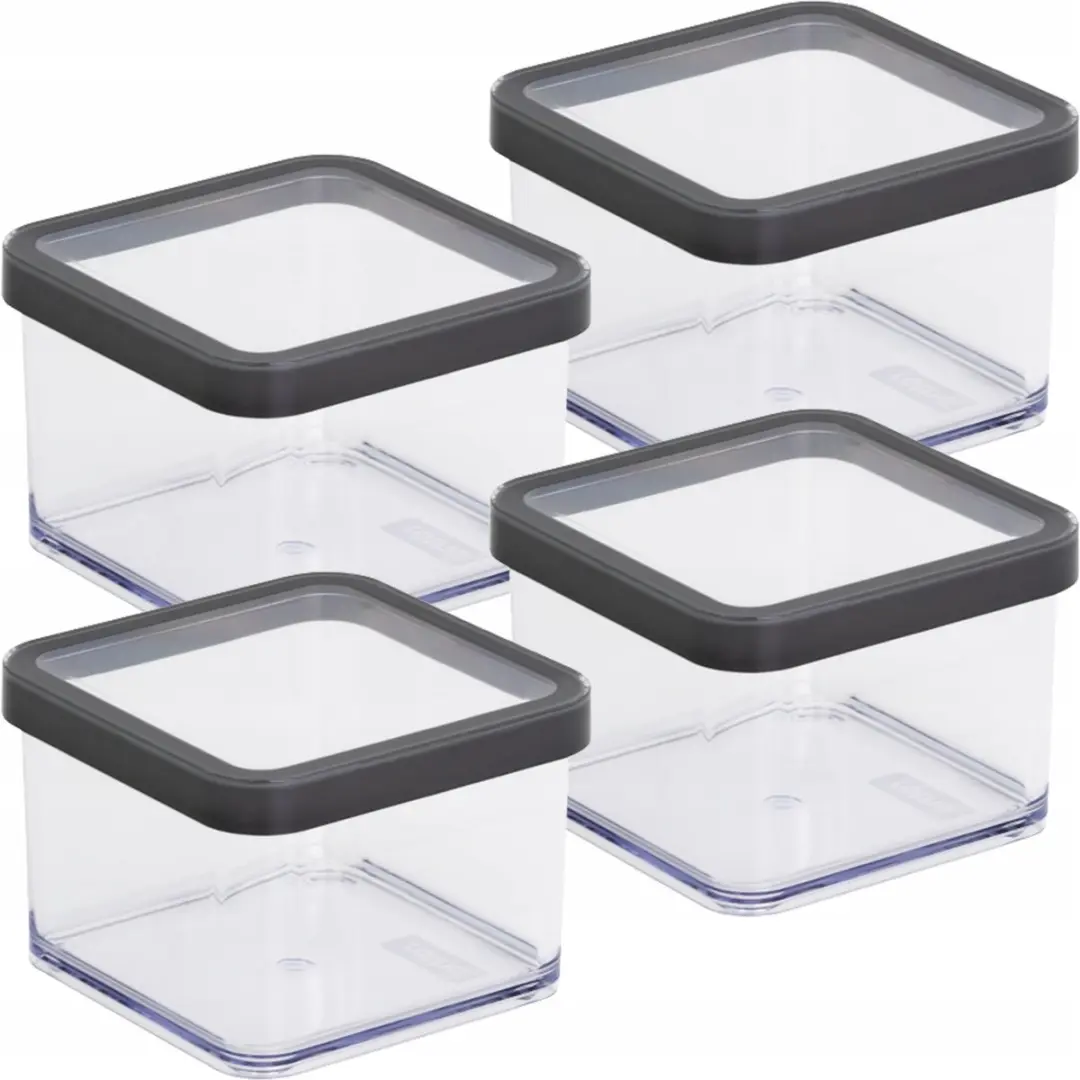 Rotho Loft Voedselcontainers 4x 0,5L - 4 Stuks