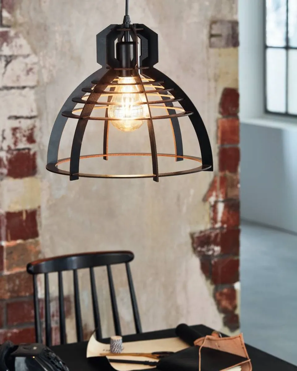 Eglo 49158 Hangende Plafondverlichting - Zwart - E27