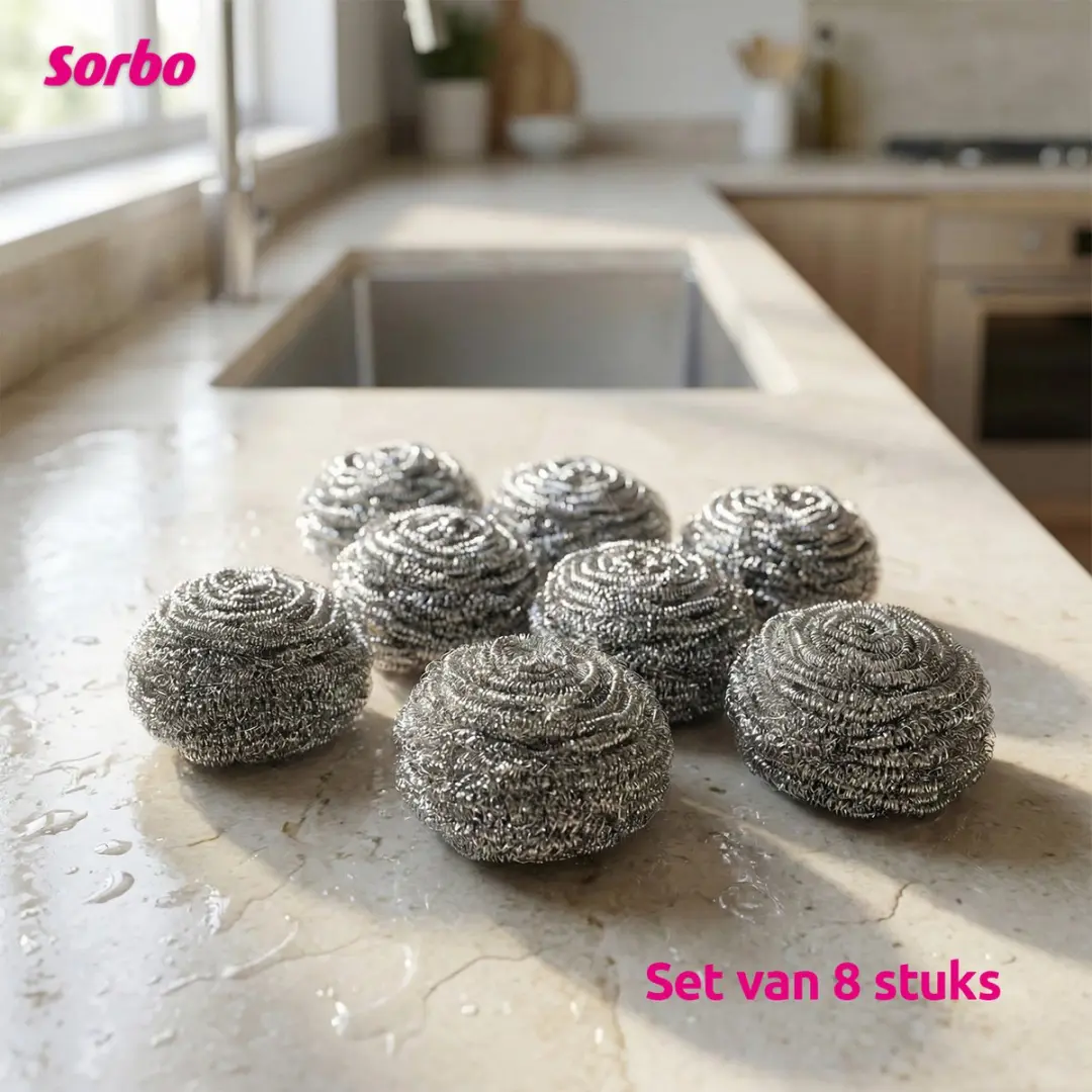 Sorbo RVS Schuursponsjes 2200523-00055 - 8 Stuks