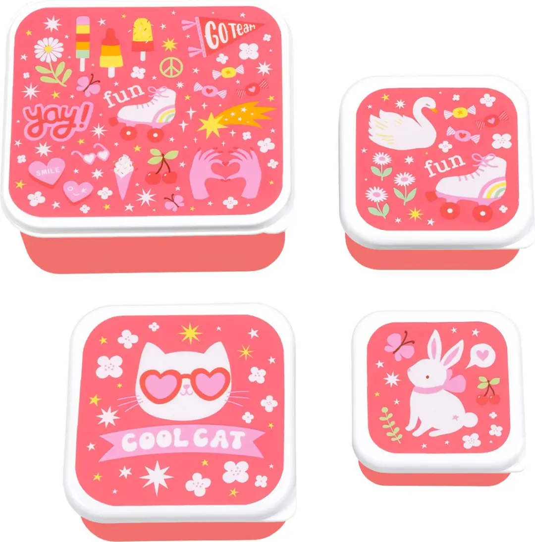 A Little Lovely Company Lunch & Snack Box Set 4-delig