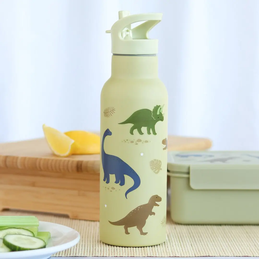 A Little Lovely Company XL Dubbelwandige RVS Drinkfles Dinosaurussen 750ml