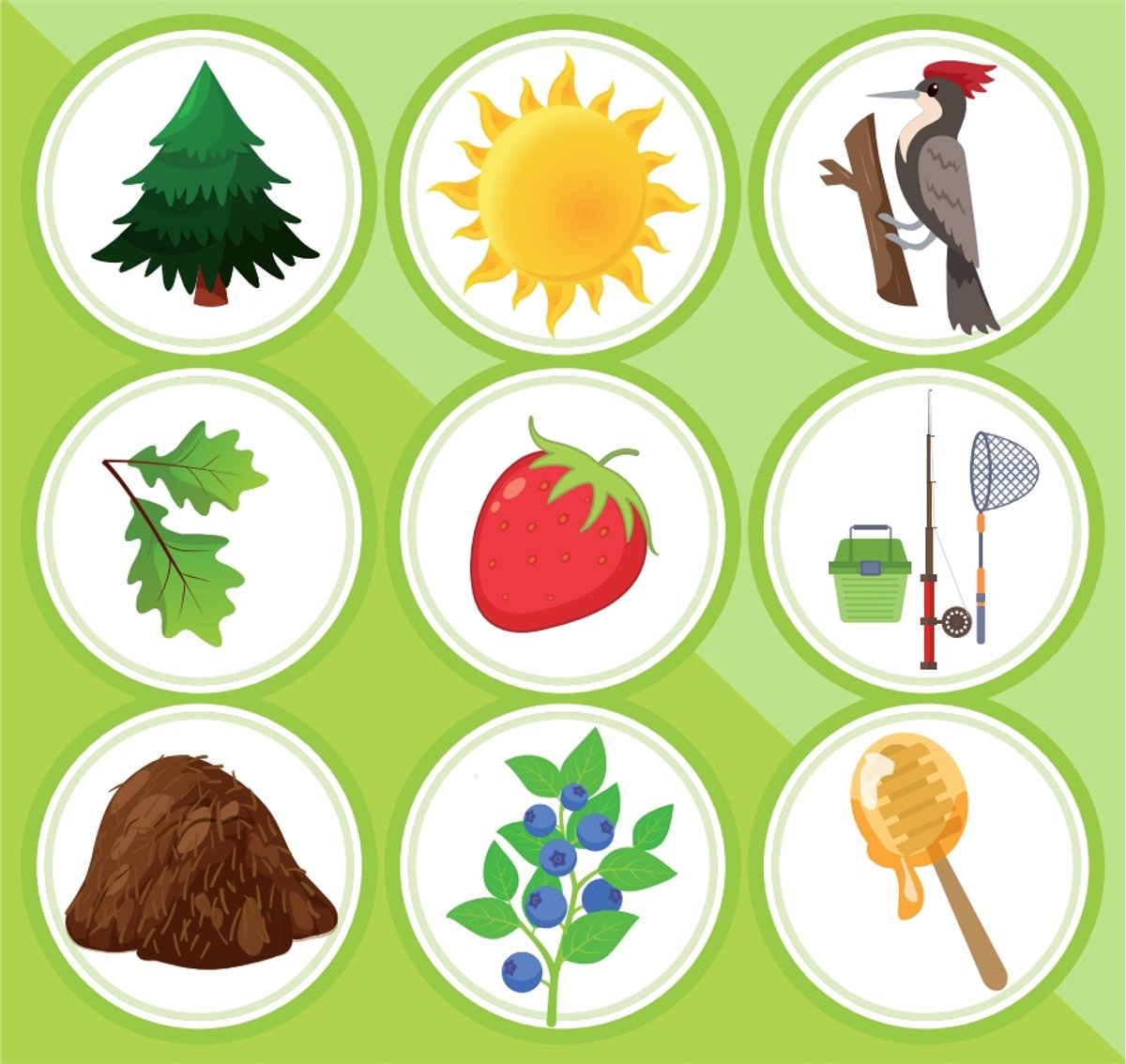 Tactic Ik Leer: Natuur – Bordspel – Educatief – Leerzaam Spel over Seizoenen en Natuur – 2 tot 4 Spelers – Vanaf 4 Jaar