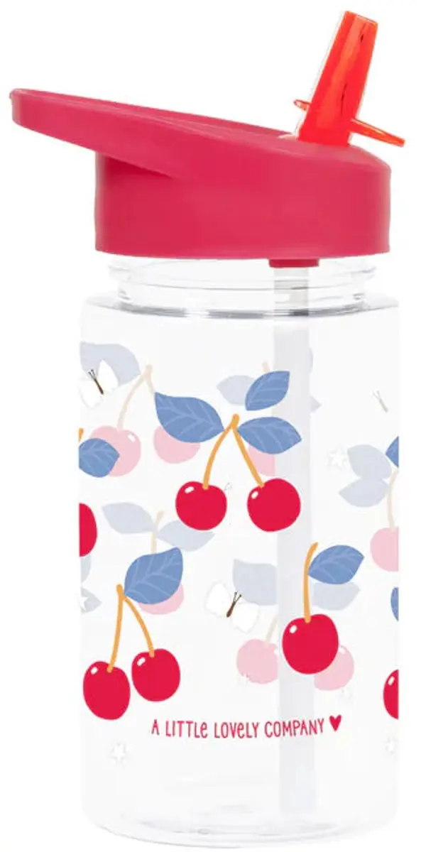 A Little Lovely Company Back to School Set - Roze