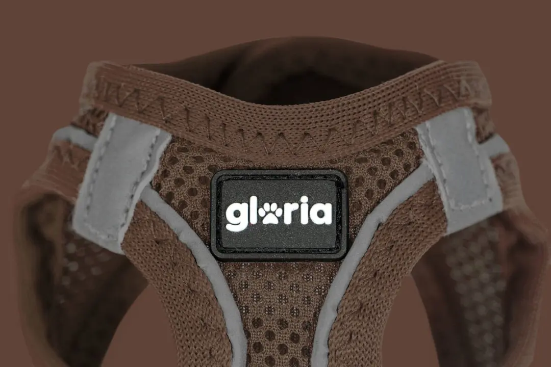 Gloria Hondentuigje 24,5-26cm - Bruin