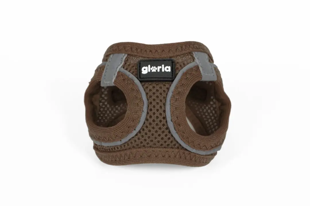 Gloria Hondentuigje 24,5-26cm