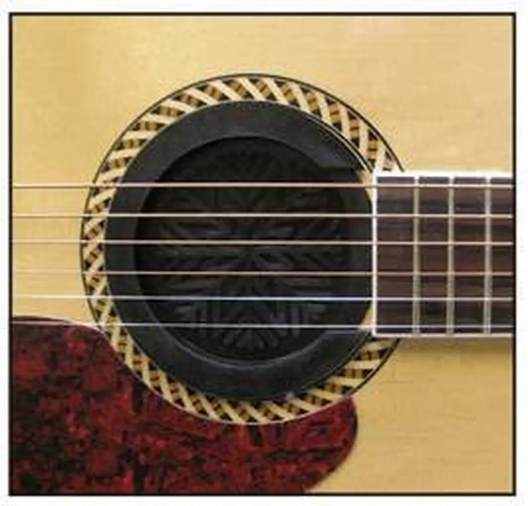 Boston Klankgat Feedback Buster AGM-100 Gitaar - 10cm