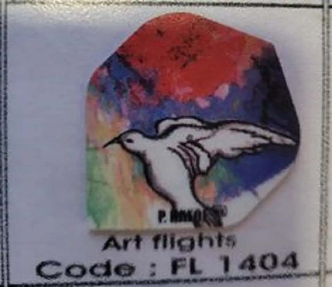 Datadart Art Flights FL 1404