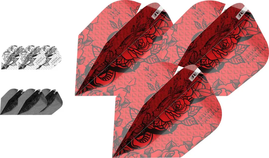 Target Nathan Aspinall 337330 Dart Flights