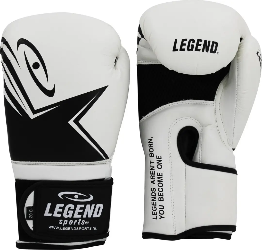 Legend Sports EcoFIT Bokshandschoenen 10 oz
