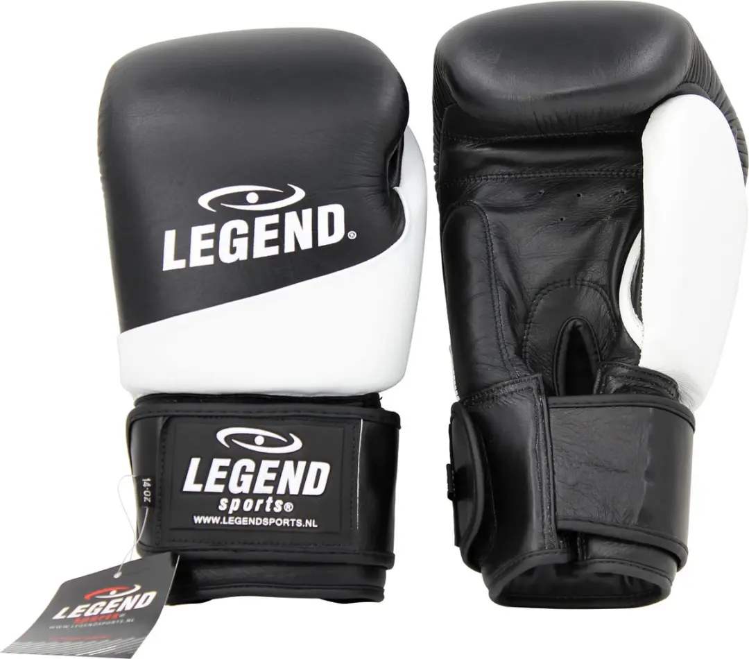 Legend Thai Serie 2.0 Bokshandschoenen 10 oz