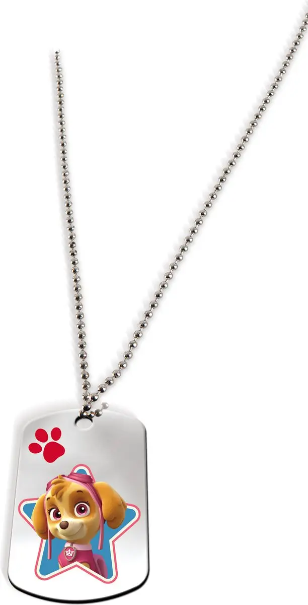PAW Patrol Hondenlabels Multikleur - Labels, Sleutelringen & Stickers