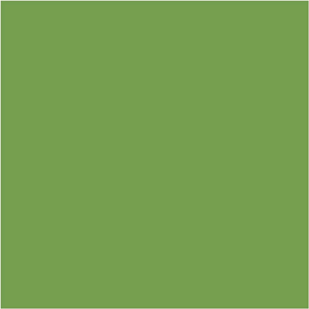 Lyra Super Ferby Kleurpotlood - Appelgroen
