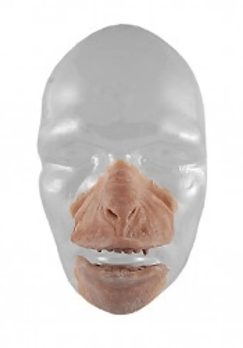 Grimas Latex Apenset 54 - Multi