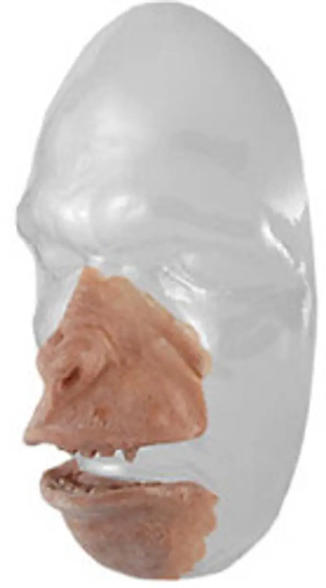 Grimas Latex Apenset 54 - Multi