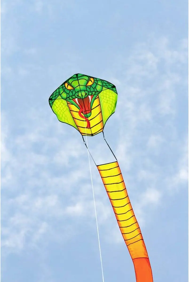 Ecoline Vlieger Emerald Cobra - 670mm - 1 Lijn - Wind 2-5 bft