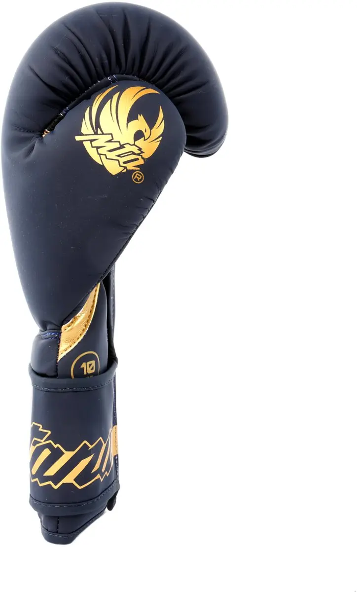 Montana Energy Poseidon Trainingshandschoenen 16 oz - Blauw