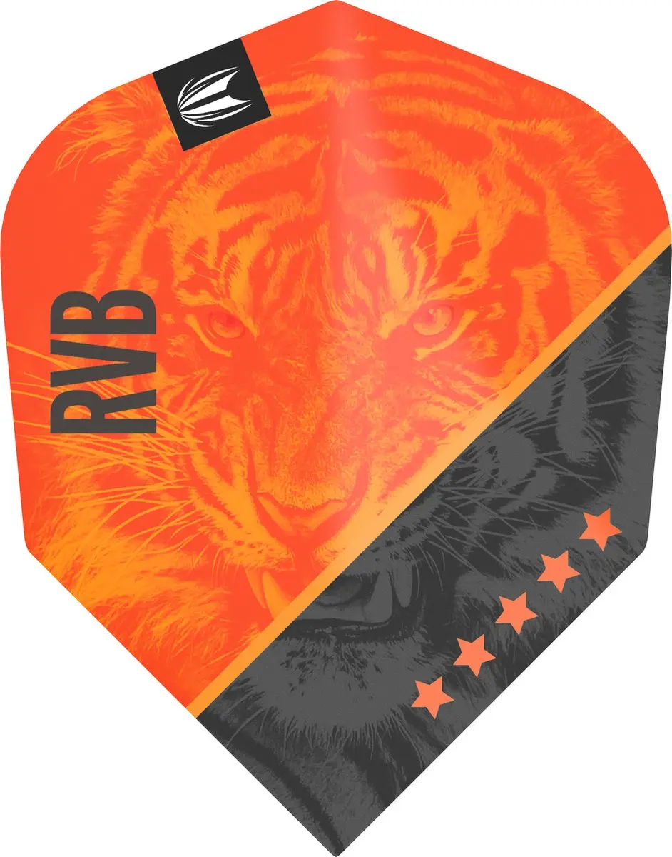 Target RVB G4 Pro Ultra NO6 Dart Flights