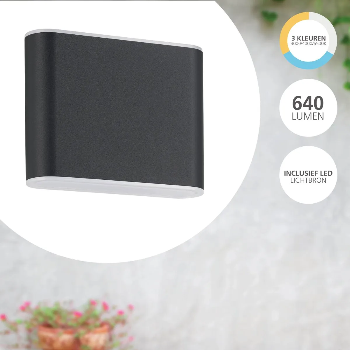 Eglo Grutti Wandlamp Buiten LED 2x - Antraciet - Instelbaar 3000K - afbeelding 6 van 6