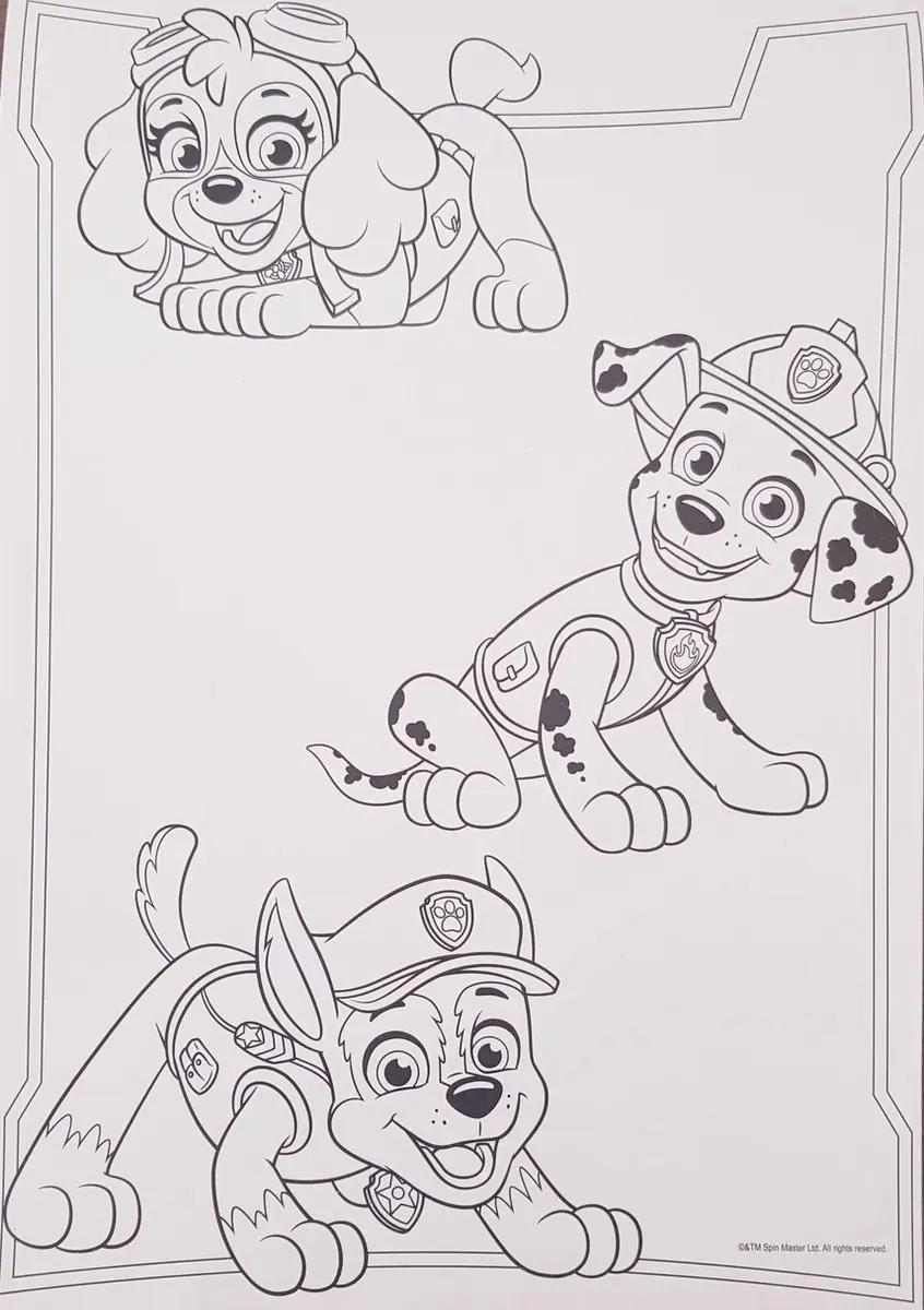 PAW Patrol Kleur- en Stickerboek - 16 Stickers & Platen