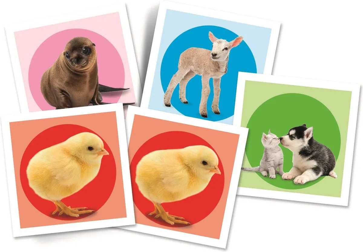 Clementoni Memory Baby Dieren 48 Kaarten - 18315