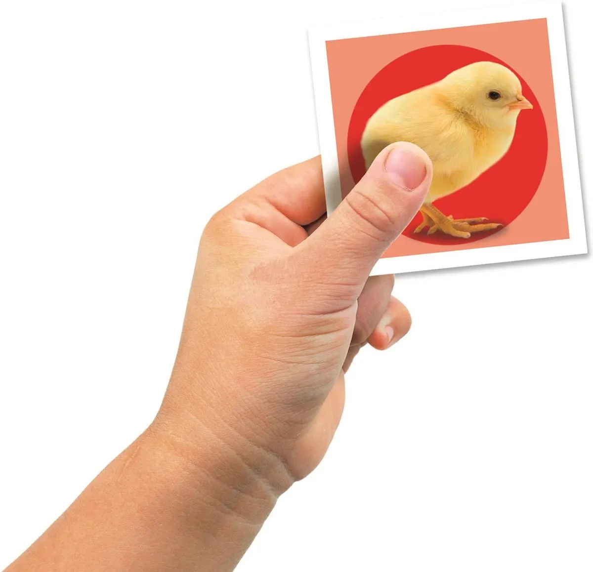 Clementoni Memory Baby Dieren 48 Kaarten - 18315